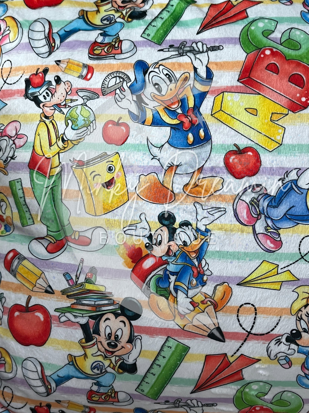 School Pals Zippered Pillowcase with Cuddle Dreamz Pillow Insert